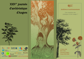 Image / illustration